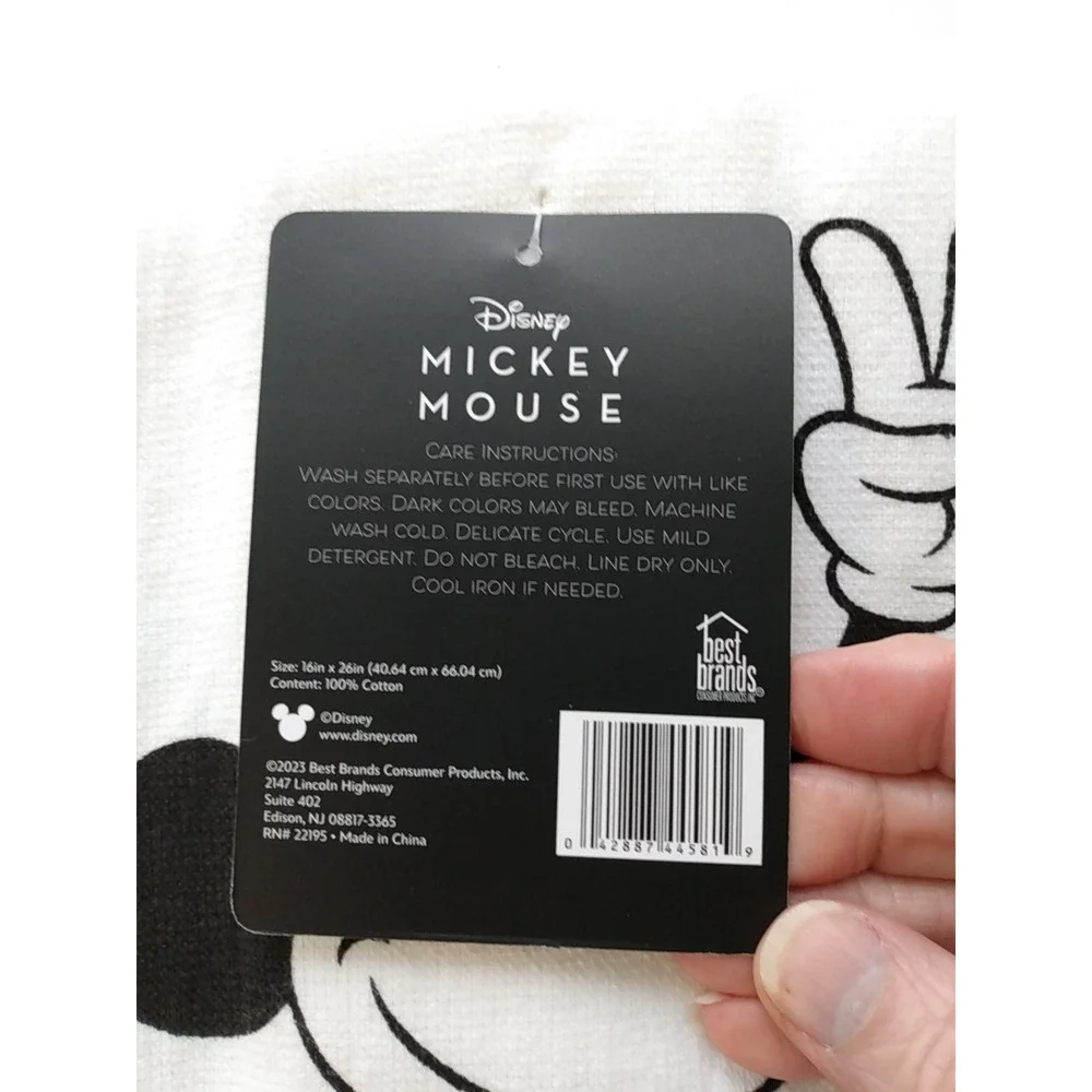 Disney mickey mouse